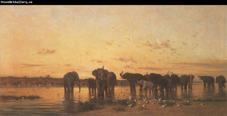 Charles Tournemine Elephants at Sunset